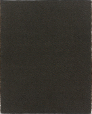 Jaipur Living Quinton Sena QTN03 Black/Dark Brown Area Rug