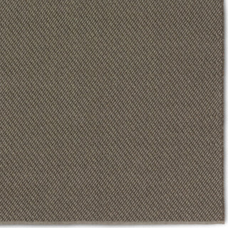 Jaipur Living Quinton Sena QTN04 Gray Area Rug