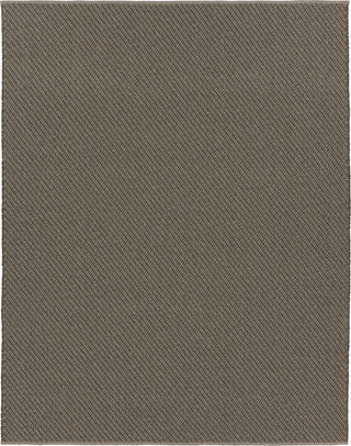 Jaipur Living Quinton Sena QTN04 Gray Area Rug