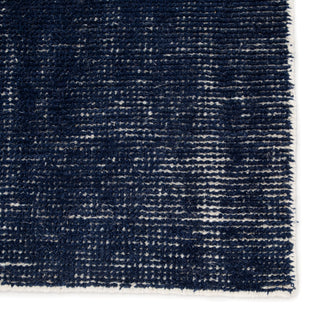 Jaipur Living Rebecca Limon RBC06 Blue/White Area Rug Detail Image