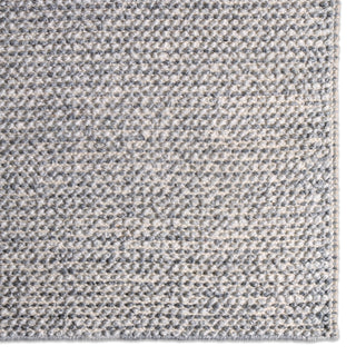 Jaipur Living Rebecca Crispin RBC09 Gray/Ivory Area Rug Detail Image