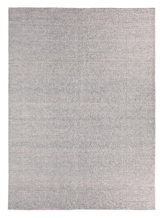 Jaipur Living Rebecca Crispin RBC09 Gray/Ivory Area Rug main image