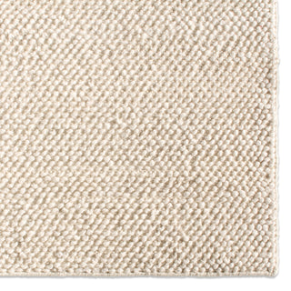 Jaipur Living Rebecca Taya RBC15 White Area Rug Detail Image