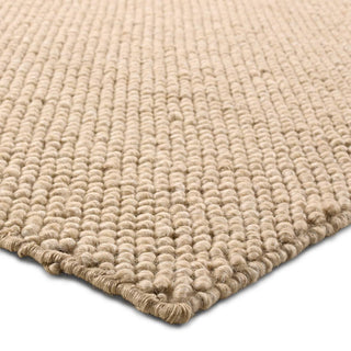 Jaipur Living Rebecca Taya RBC16 Tan Area Rug Corner Image