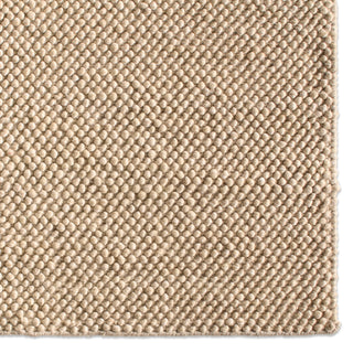 Jaipur Living Rebecca Taya RBC16 Tan Area Rug Detail