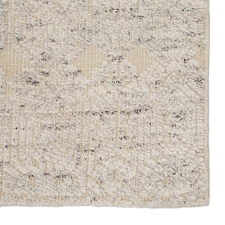Jaipur Living Reign Abelle REI09 Gray/Beige Area Rug Detail Image