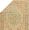 Jaipur Living Reza Hasina REZ01 Tan/Sage Area Rug