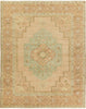 Jaipur Living Reza Hasina REZ01 Tan/Sage Area Rug