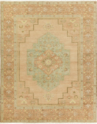 Jaipur Living Reza Hasina REZ01 Tan/Sage Area Rug