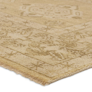 Jaipur Living Rhapsody RHA13 Area Rug Corner Image