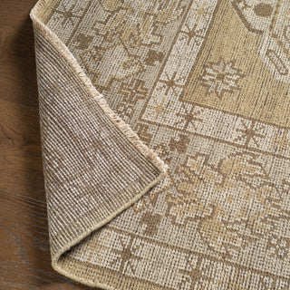 Jaipur Living Rhapsody RHA13 Area Rug Lifestyle Image Feature