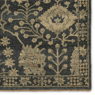 Jaipur Living Rhapsody RHA14 Area Rug Detail Image