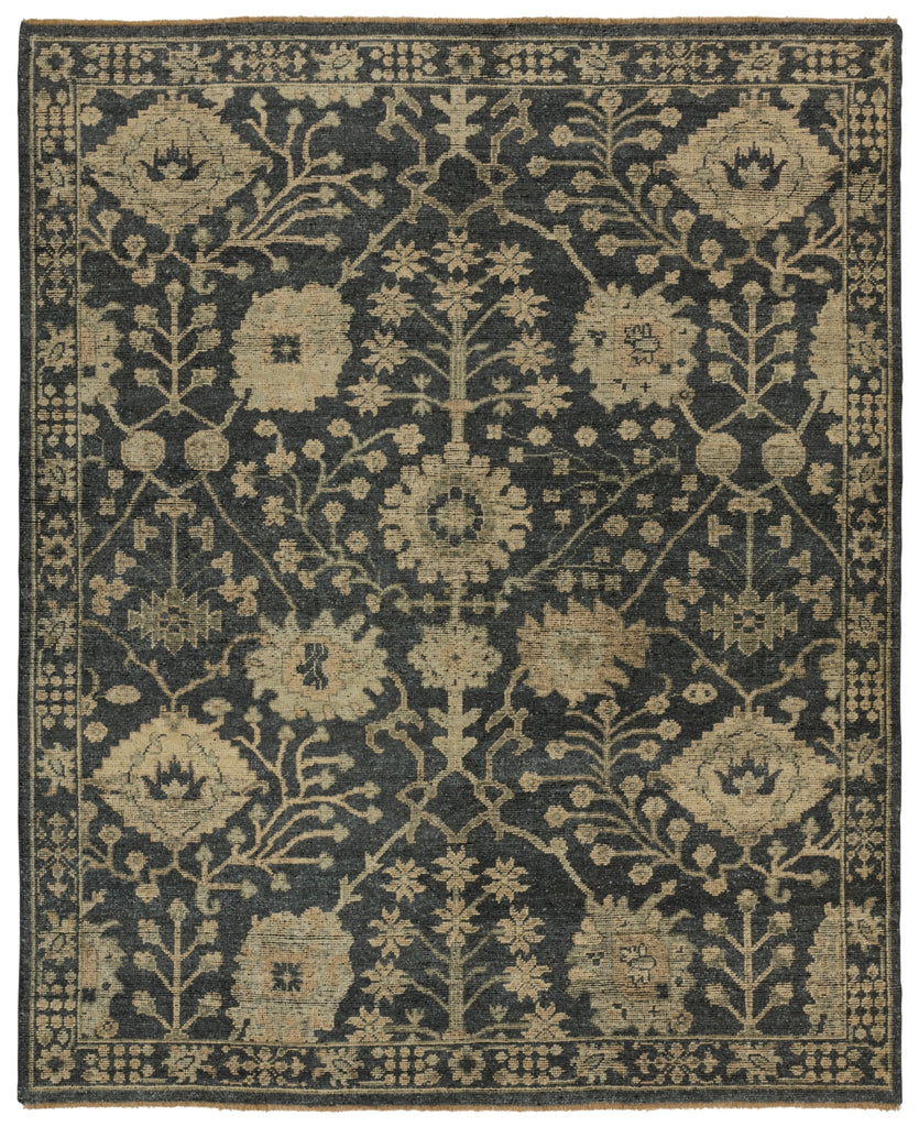 Jaipur Living Rhapsody RHA14 Area Rug main image