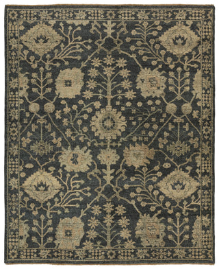 Jaipur Living Rhapsody RHA14 Area Rug main image