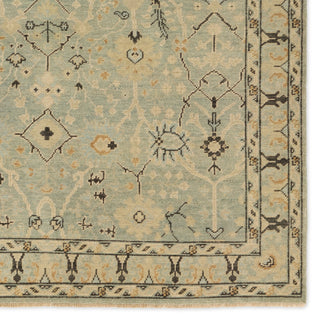 Jaipur Living Rhapsody RHA19 Area Rug Detail Image