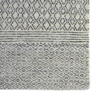 Jaipur Living Rize Neema RIZ02 Ivory/Dark Gray Area Rug Detail Image