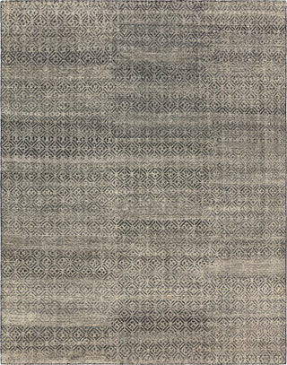 Jaipur Living Rize Akello RIZ12 Black Area Rug