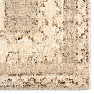 Jaipur Living Repose RPS02 Area Rug Detail Image
