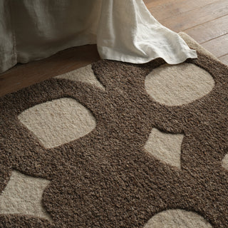 Jaipur Living Reyner Rani RYN01 Brown Area Rug Room Scene 3