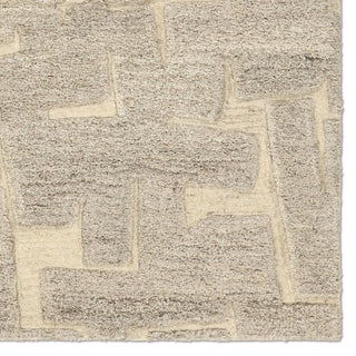Jaipur Living Reyner Whimsy RYN05 Taupe Machine Washable Area Rug Detail Image