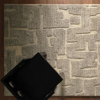 Jaipur Living Reyner Whimsy RYN05 Taupe Machine Washable Area Rug Main Image