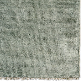 Jaipur Living Saga SAG07 Area Rug Detail Image