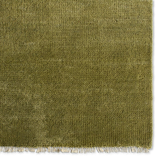 Jaipur Living Saga SAG16 Area Rug Detail Image