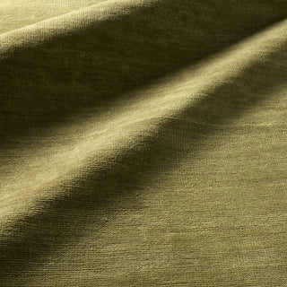 Jaipur Living Saga SAG16 Area Rug Lifestyle Image Feature