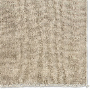 Jaipur Living Saga SAG17 Area Rug Detail Image