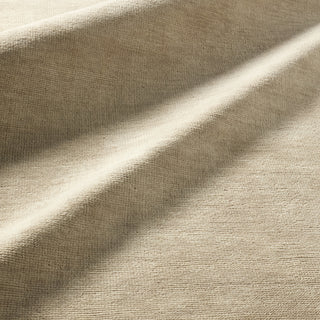 Jaipur Living Saga SAG17 Area Rug Lifestyle Image Feature