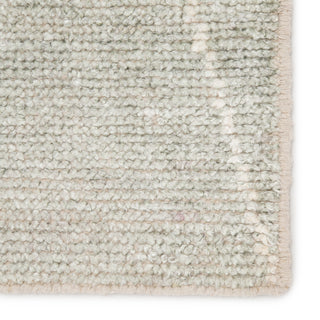 Jaipur Living Satellite Ozog SAT07 Light Blue/Ivory Area Rug Detail Image