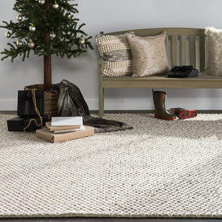 Jaipur Living Scandinavia Dula Alta SCD05 Gray/White Area Rug Main Image