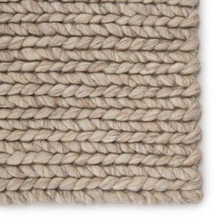 Jaipur Living Scandinavia Dula Braiden SCD08 Gray Area Rug Detail Image