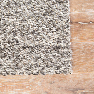 Jaipur Living Scandinavia Rakel Karlstadt SCR07 Gray/Silver Area Rug Detail Image