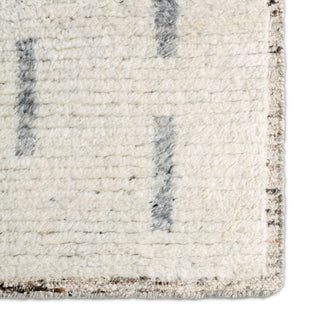 Jaipur Living Seora SEO03 Area Rug Detail Image