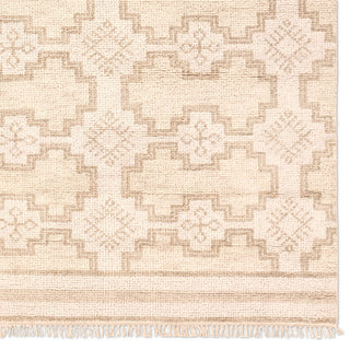 Jaipur Living Sevak SEV03 Area Rug Detail Image
