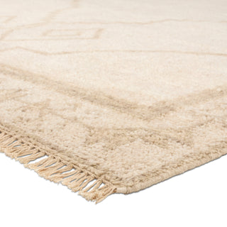 Jaipur Living Sevak SEV04 Area Rug Corner Image