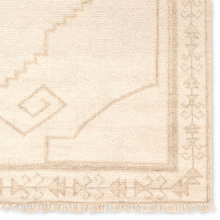 Jaipur Living Sevak SEV04 Area Rug Detail Image