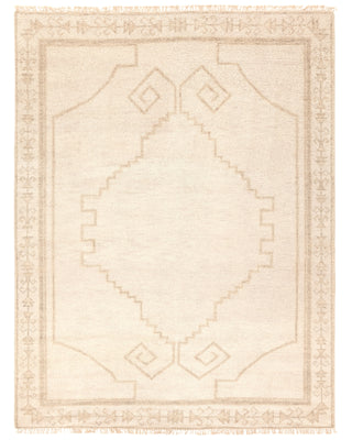 Jaipur Living Sevak SEV04 Area Rug main image