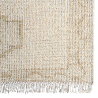 Jaipur Living Sevak SEV05 Area Rug Detail Image