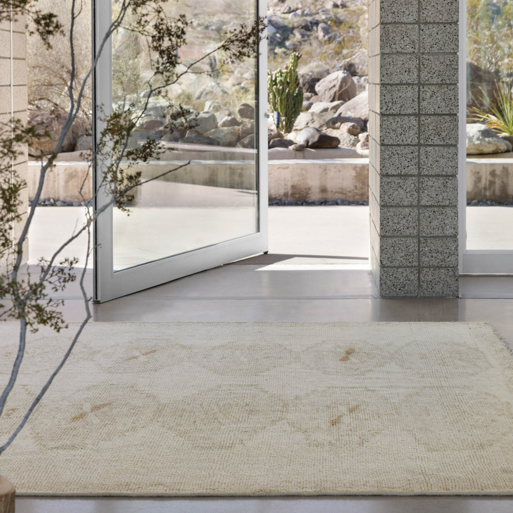 Jaipur Living Sevak SEV05 Area Rug Lifestyle Image Feature