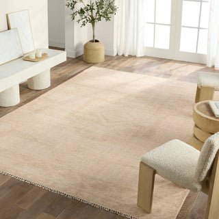 Jaipur Living Sevak Vashti SEV06 Tan Area Rug Lifestyle Image Feature