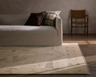 Jaipur Living Sevak Vashti SEV06 Tan Area Rug Main Image