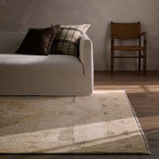 Jaipur Living Sevak Vashti SEV06 Tan Area Rug Main Image
