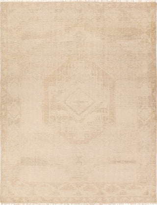 Jaipur Living Sevak Vashti SEV06 Tan Area Rug