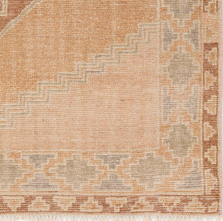 Jaipur Living Sevak Vashti SEV07 Orange Area Rug