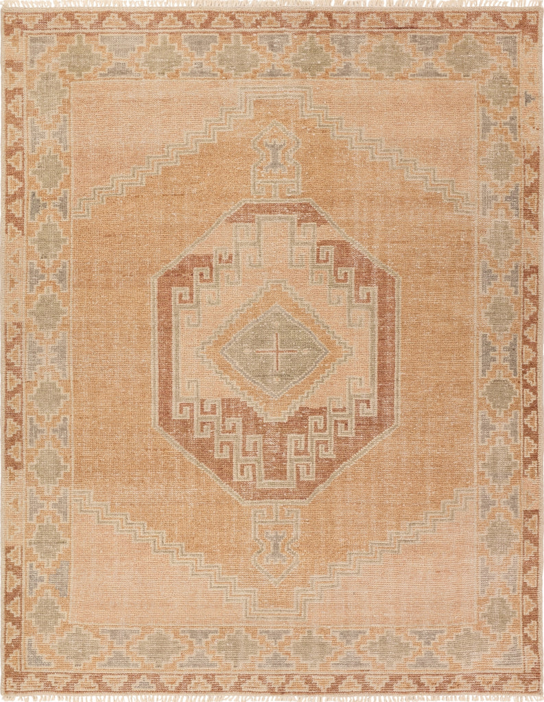 Jaipur Living Sevak Vashti SEV07 Orange Area Rug