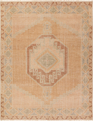 Jaipur Living Sevak Vashti SEV07 Orange Area Rug