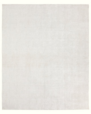 Jaipur Living Soft Horizon Dilwyn SFH04 Ivory / White Area Rug main image