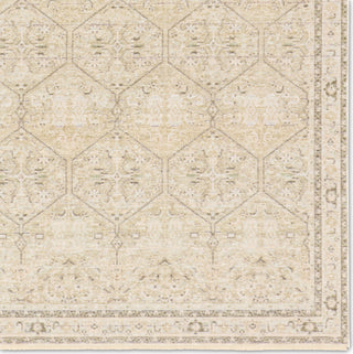 Jaipur Living Solene Lethia SLE06 Area Rug Detail Image